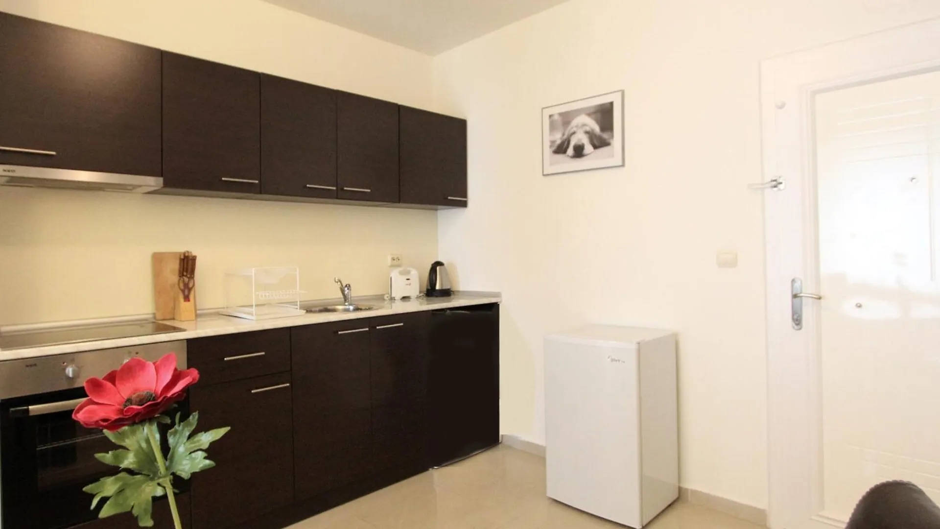 New Line Village Apartments Sunny Beach